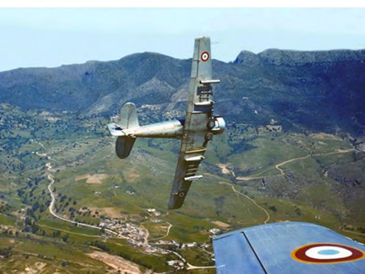@North American T6 Algérie.jpg