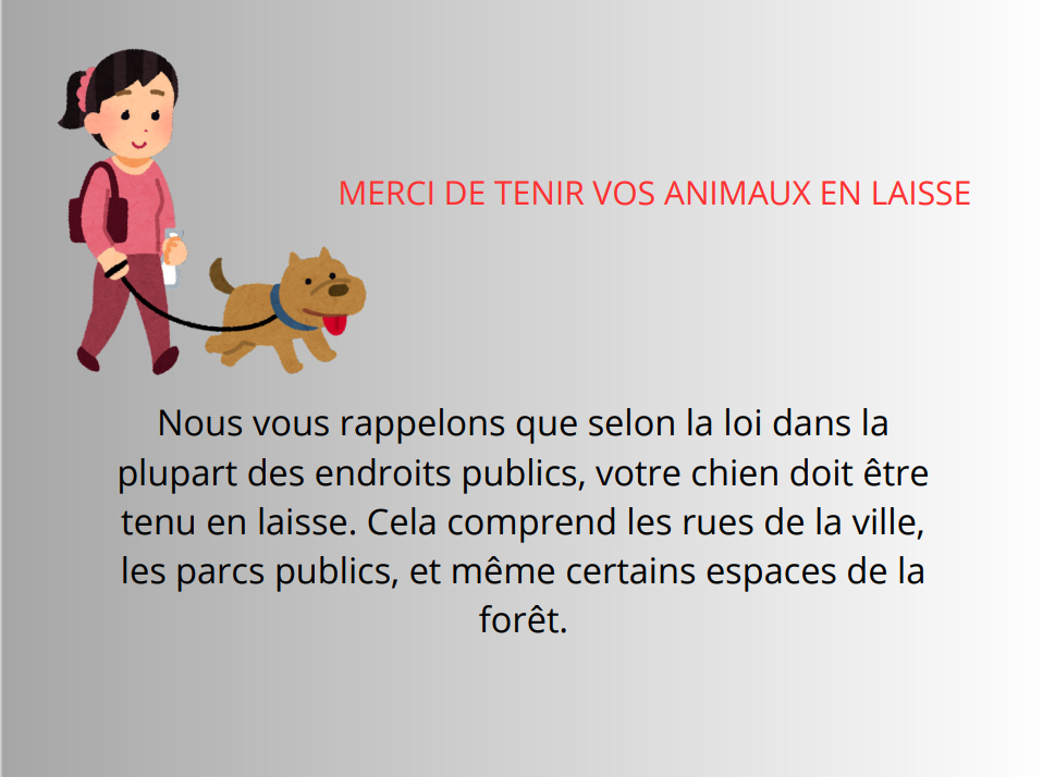 animaux domestique.png