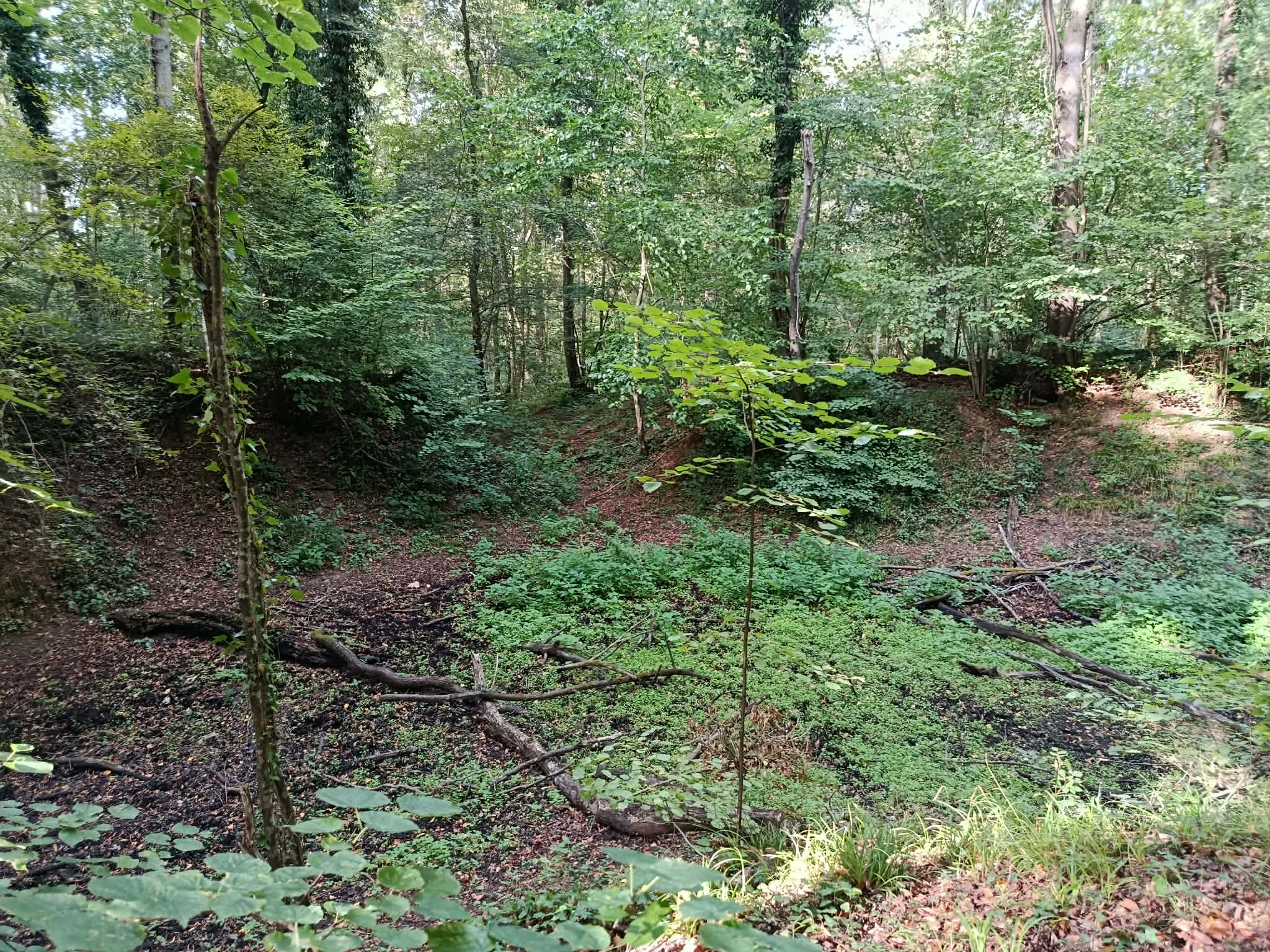 _10_ Fossé menant au ru de Grève vu depuis l_angle nord de la petite loge.jpg