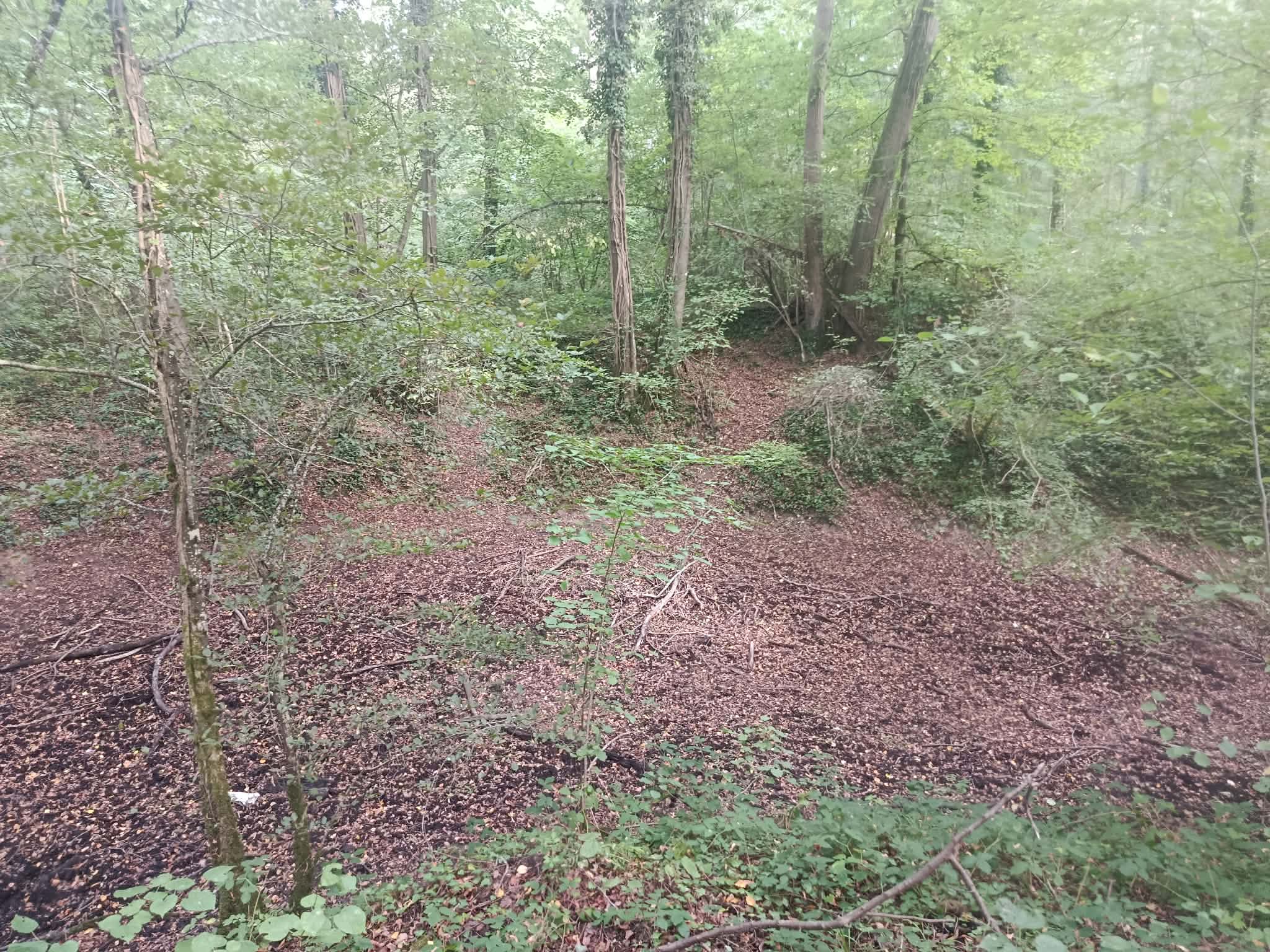 _21_ Angle Sud-Est de la petite loge.jpg