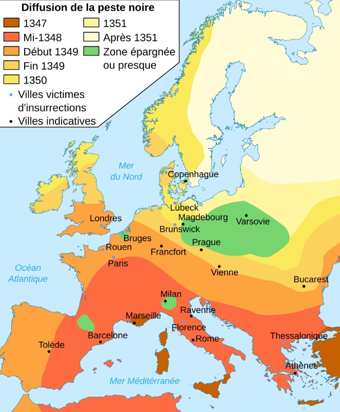 _3_ Diffusion de la peste noire en Europe.jpg