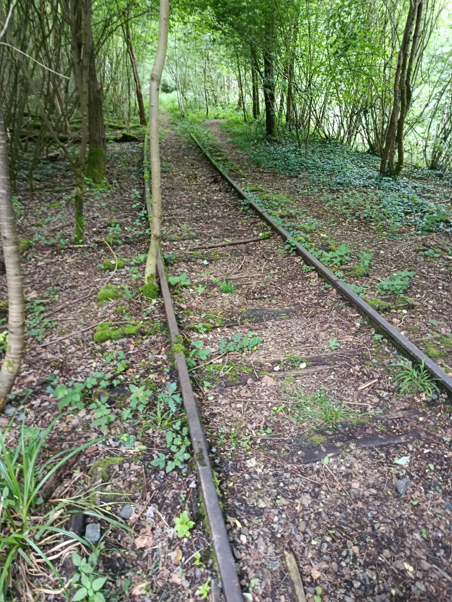_19_ Les restes bien conservés de la ligne en contrebas des carrières Sébourgand.jpg