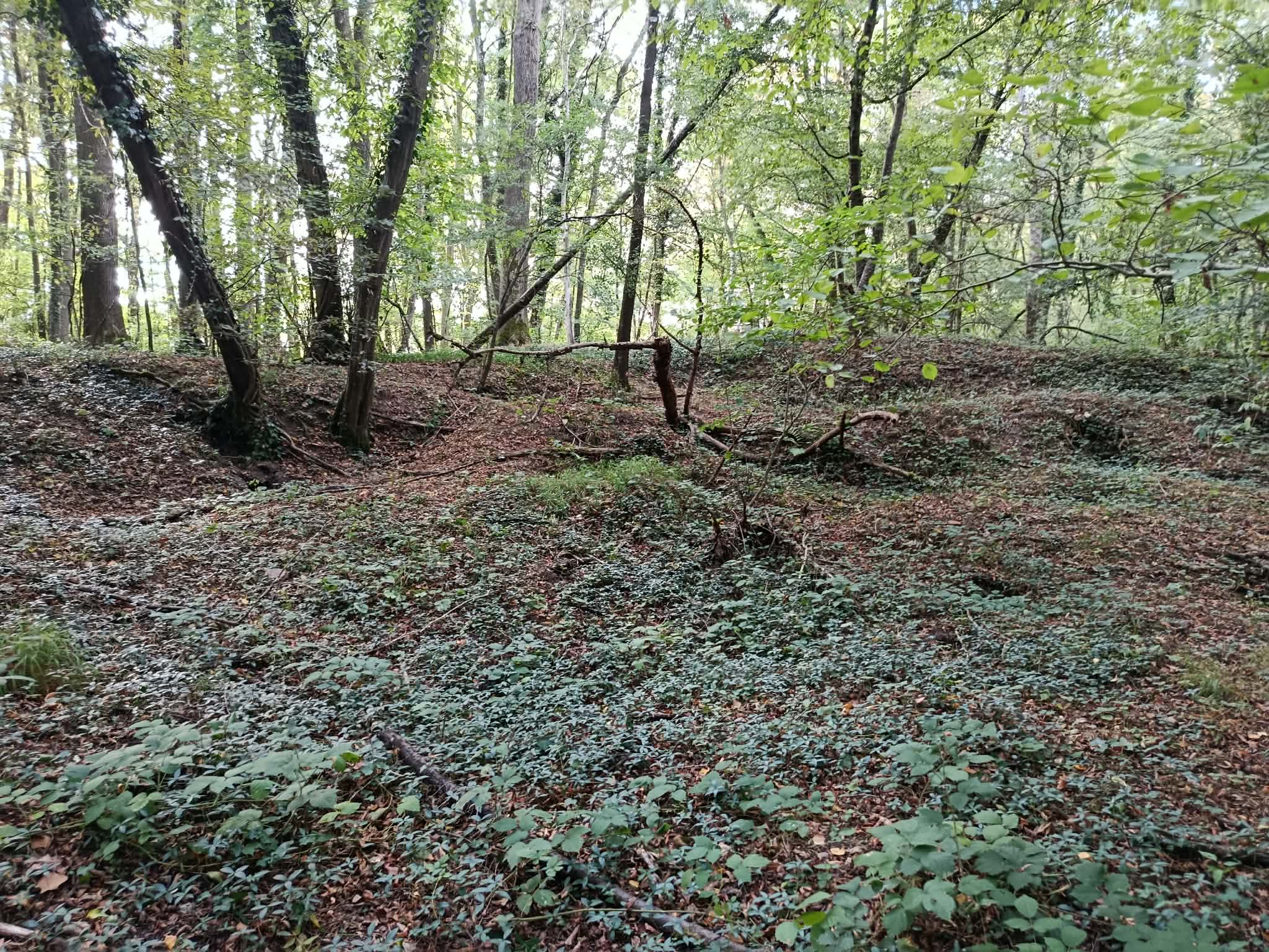 _14_ Vue intérieure de la grande loge.jpg