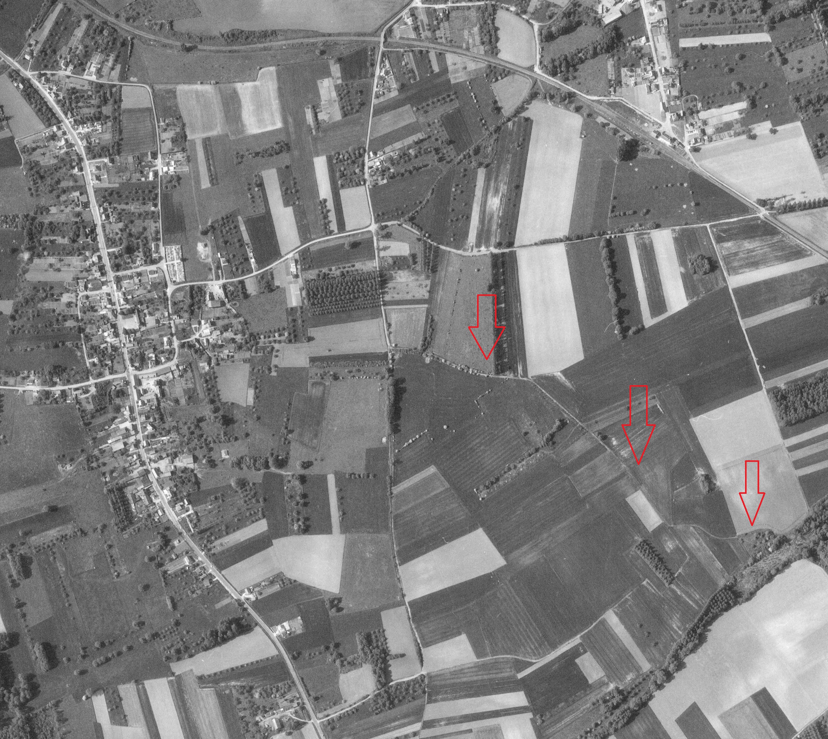 _6_ Le Chemin de la Fontaine des Ribaudes sur une vue aérienne du 17 mai 1974.jpg
