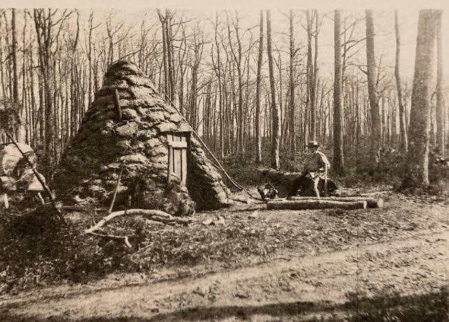 _4_ Cabane de charbonniers en forêt de Fontainebleau.jpg