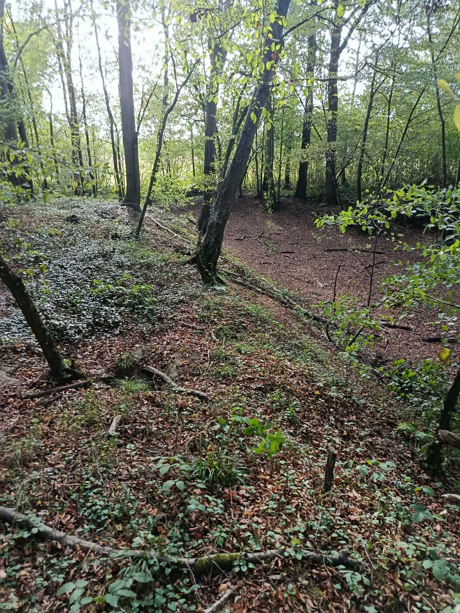 _15_ Angle Nord-Ouest de la grande loge.jpg