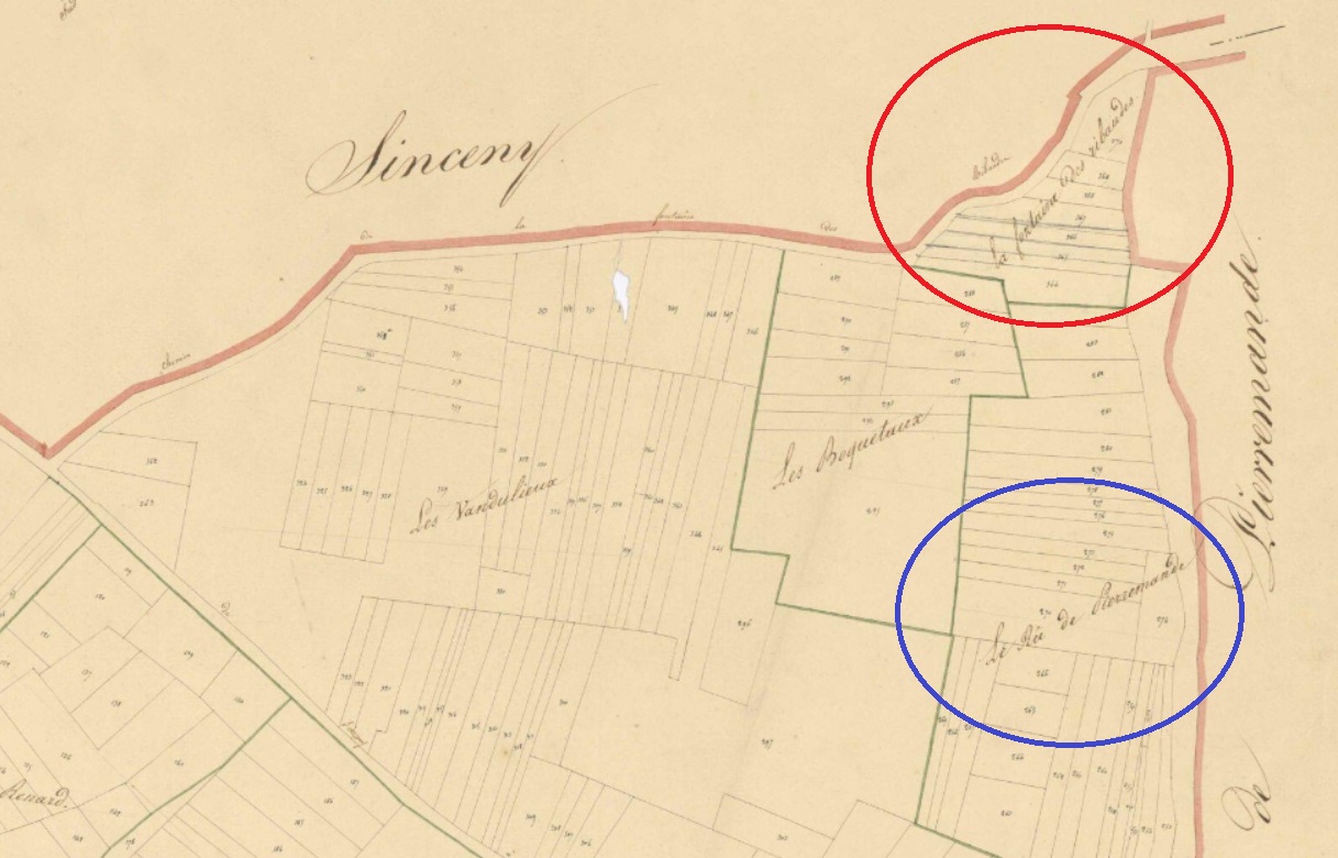 _3_ La Fontaine des Ribaudes et le Rû de Pierremande sur le cadastre de 1829.jpg