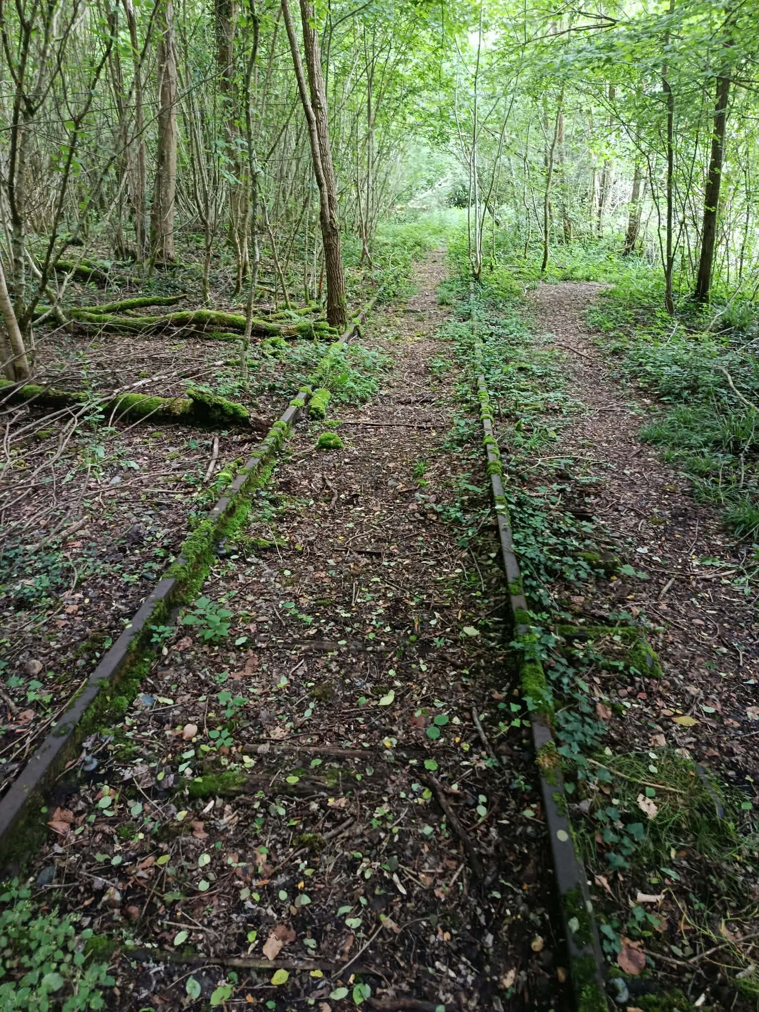 _18_ Les restes bien conservés de la ligne en contrebas des carrières Sébourgand.jpg