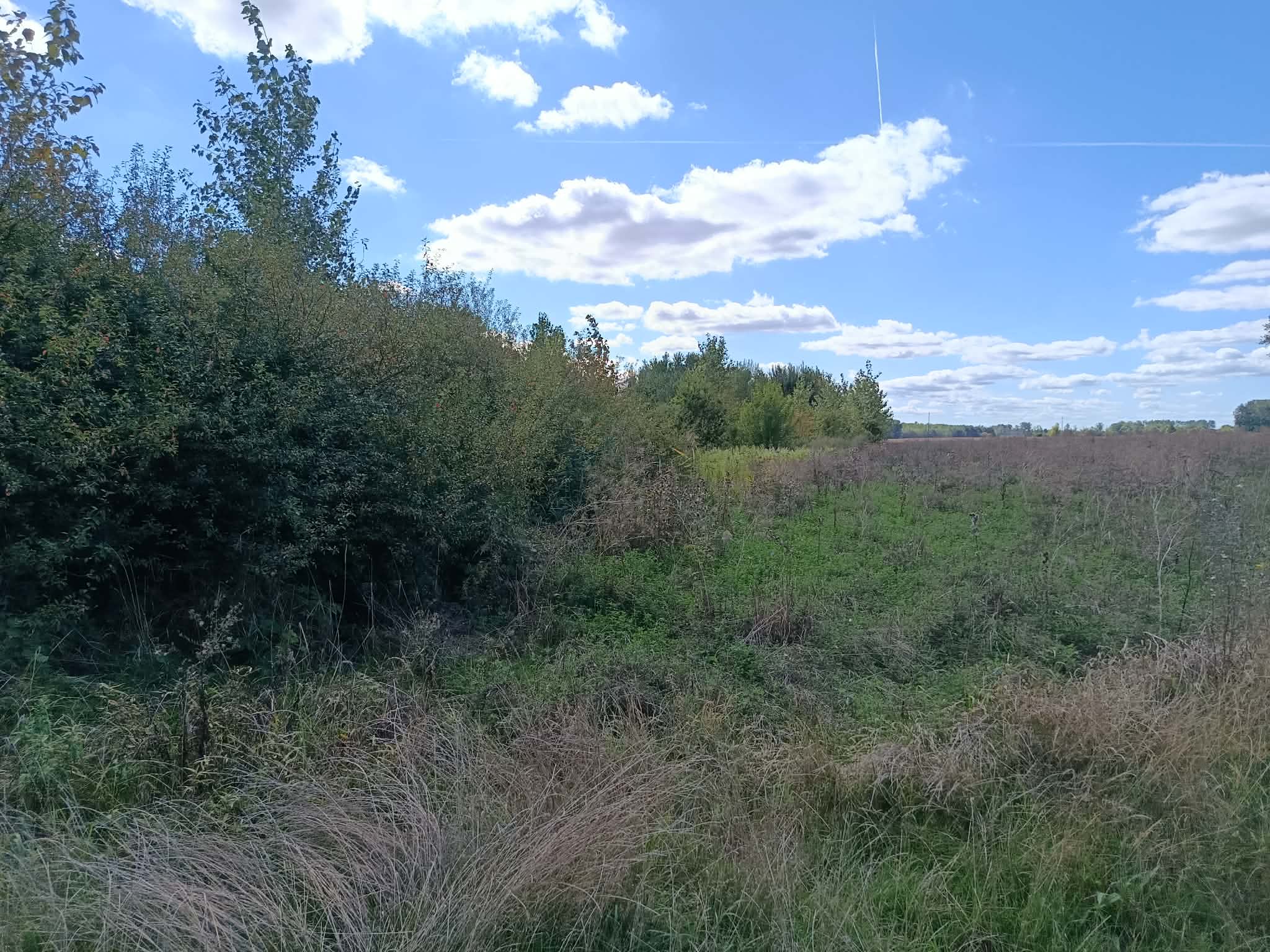 _9_ La Fontaine des Ribaudes.jpg