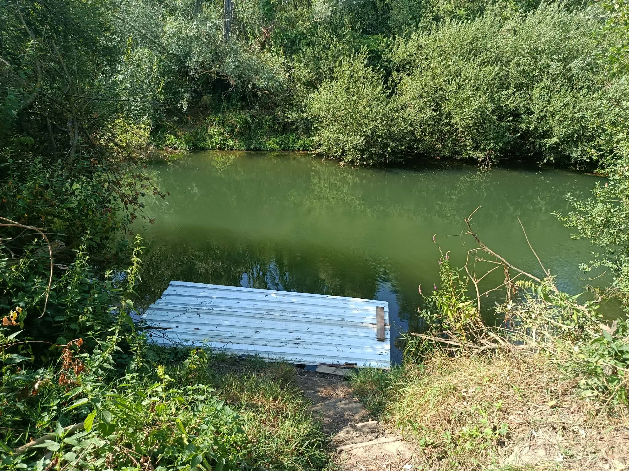 _20_ ponton.jpg