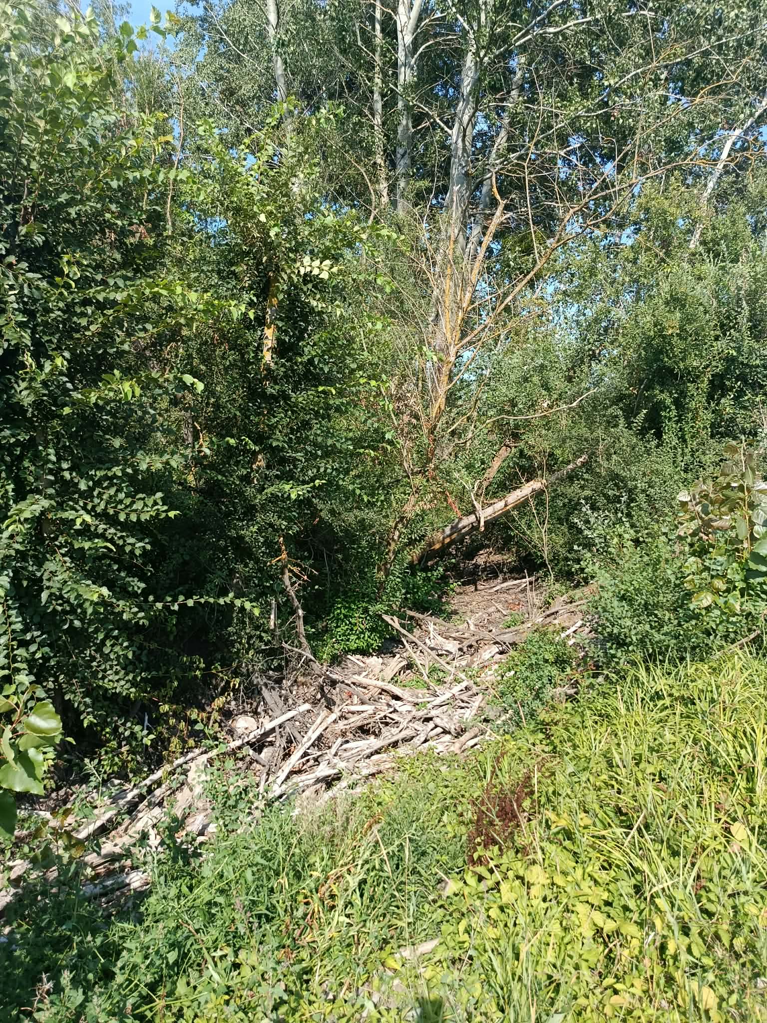 _14_ ruisseau de Marizelle à sec.jpg