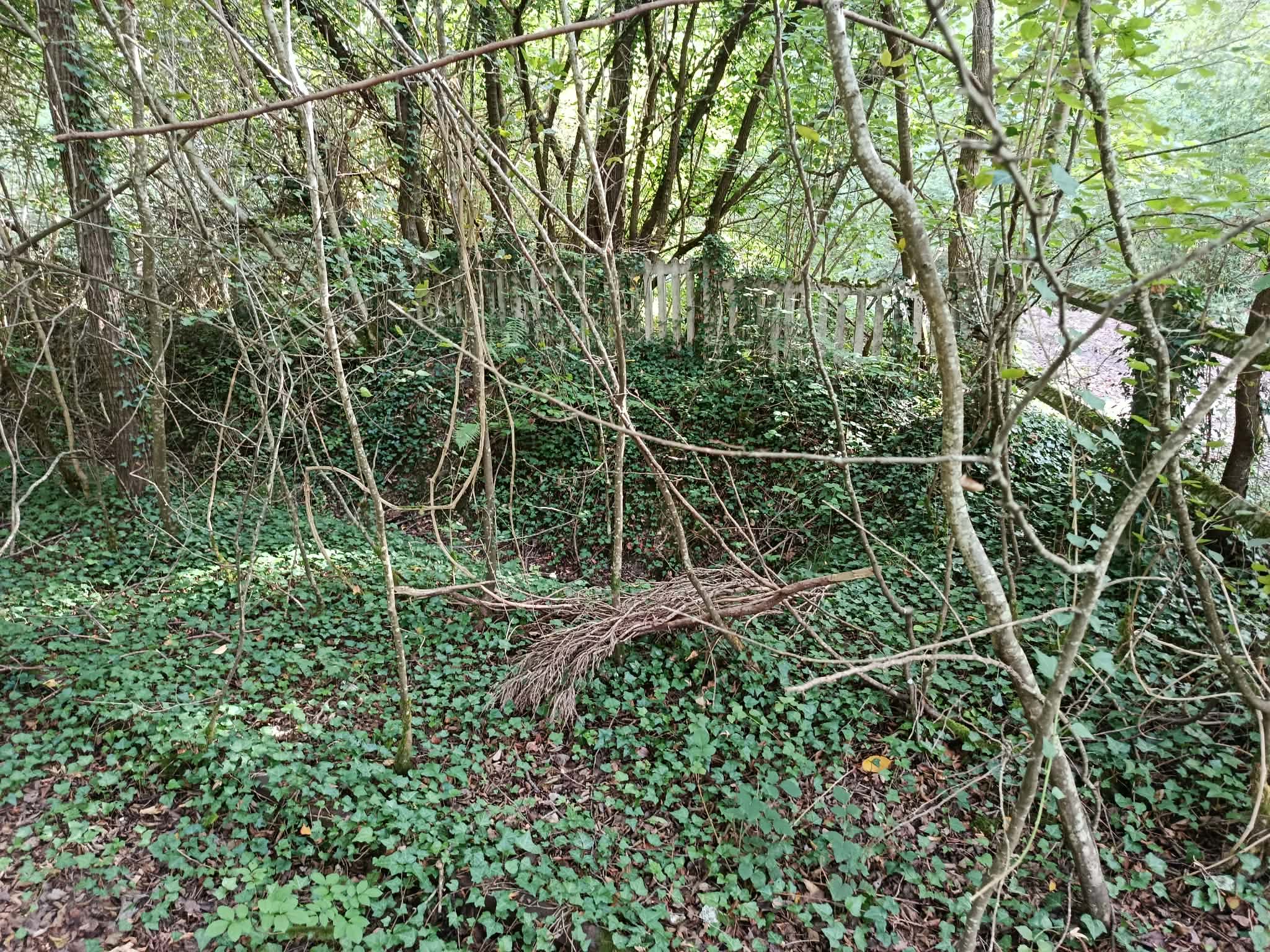 _13_ Restes d_un ancien passage à niveau, laie des Loges, en forêt de Coucy-Basse.jpg
