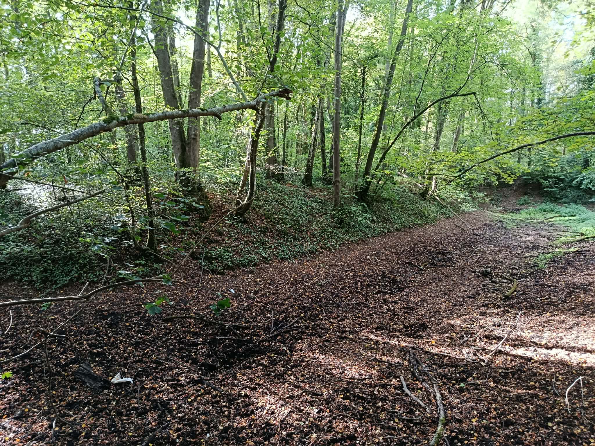 _9_ La petite loge vue depuis la forêt.jpg