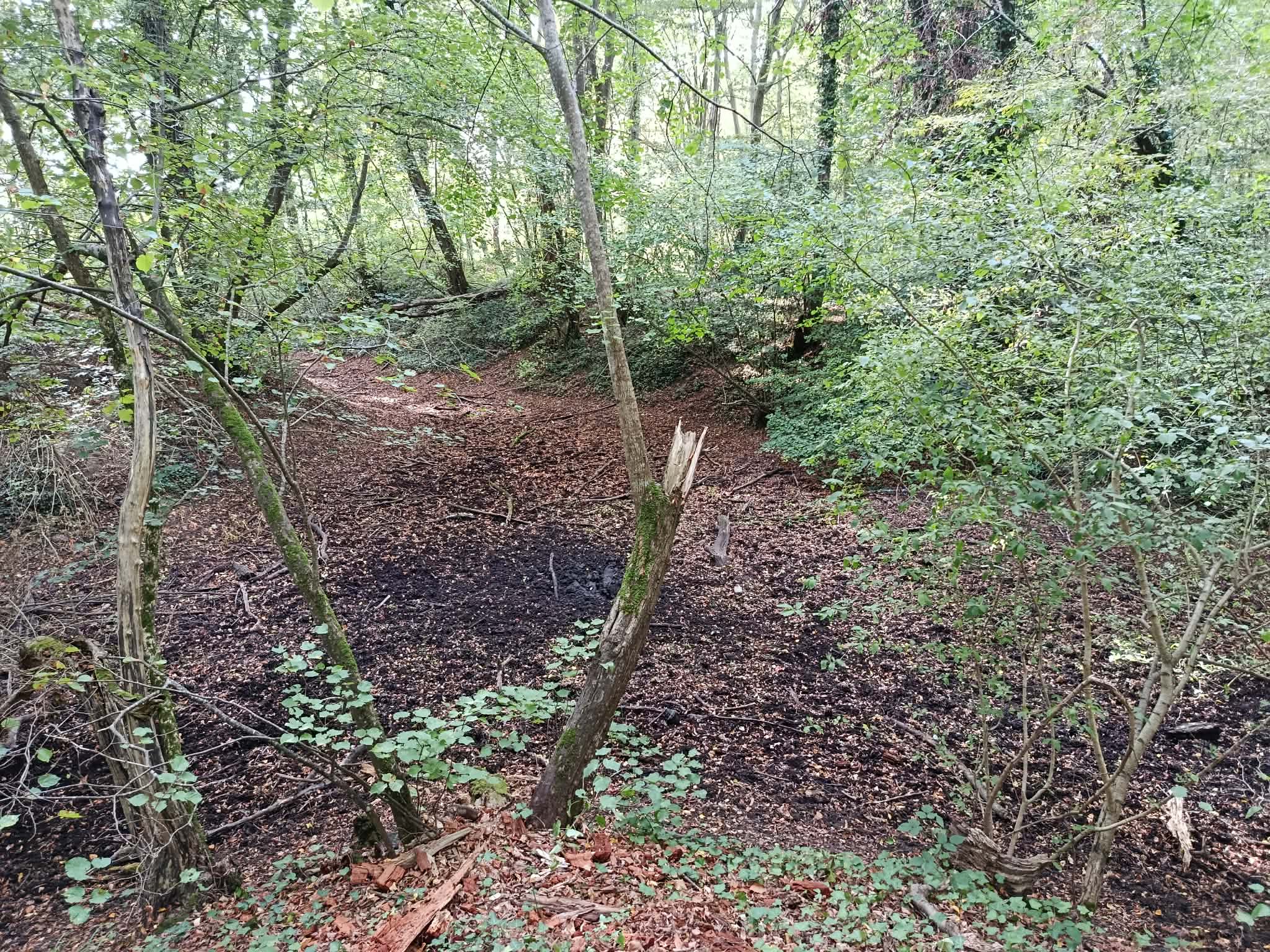 _11_ Fossés vus depuis l_angle Nord-Ouest de la petite loge.jpg