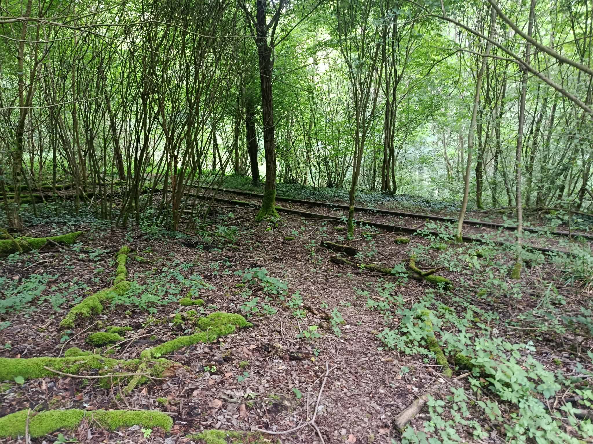 _17_ Les restes bien conservés de la ligne en contrebas des carrières Sébourgand.jpg