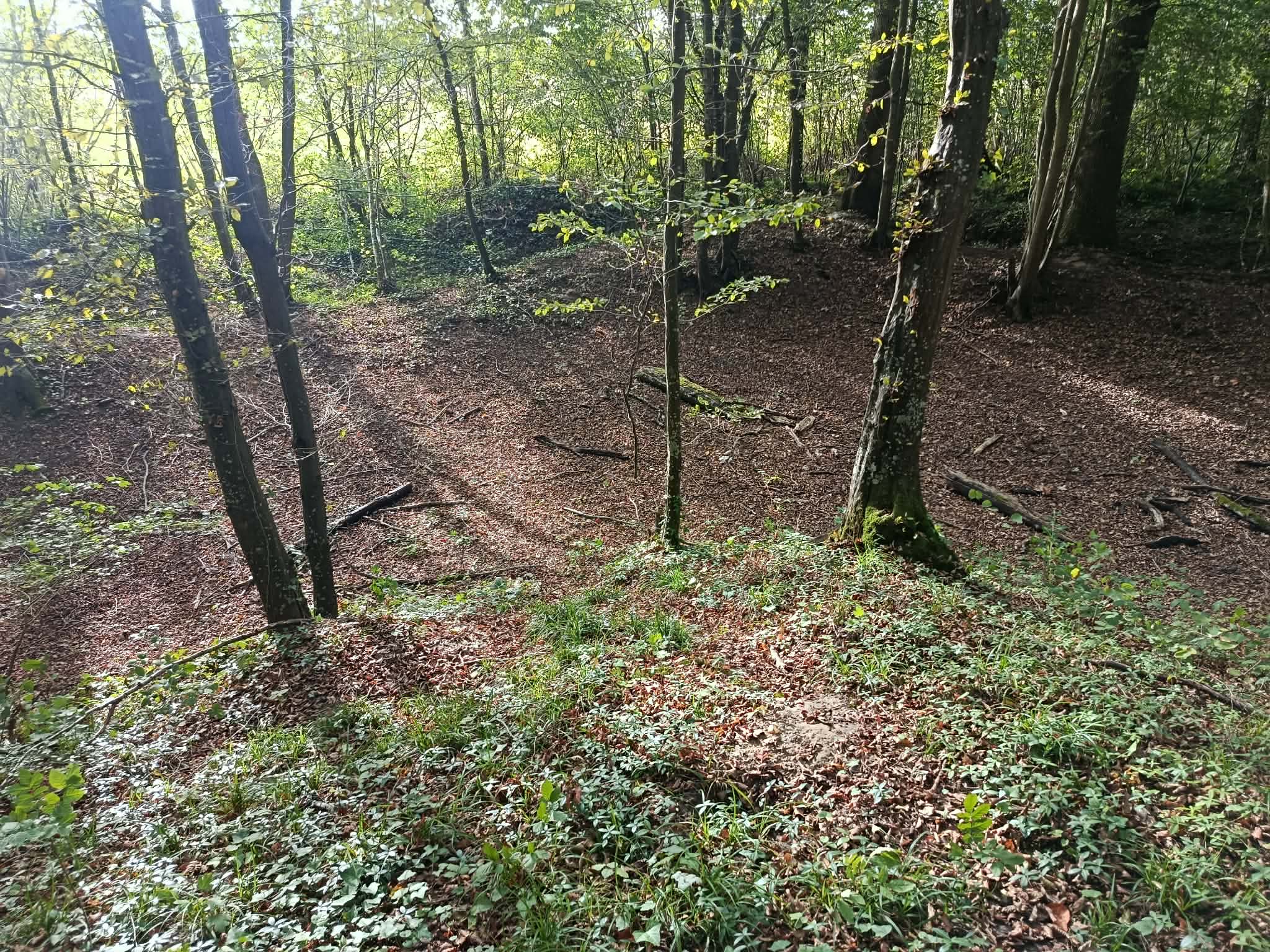 _17_ Fossé séparant la grande loge de la lisière de la forêt.jpg