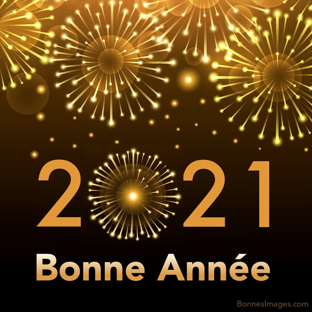 bonne-annee_076c.jpg