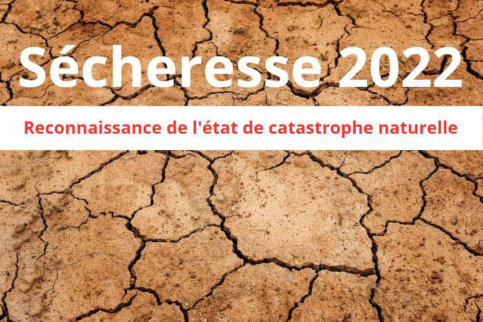Secheresse-2022_Reconnaissance-de-letat-de-catastrophe-naturelle.jpg