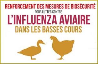Protection-des-elevages-Elevation-du-niveau-de-risque-de-l-influenza-aviaire-H5N8_large.jpg