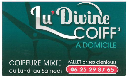 Logo Ludivin_Coiff.png