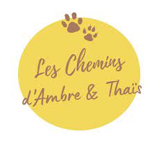 Logo les chambres d_Ambre et Thaïs.jpg