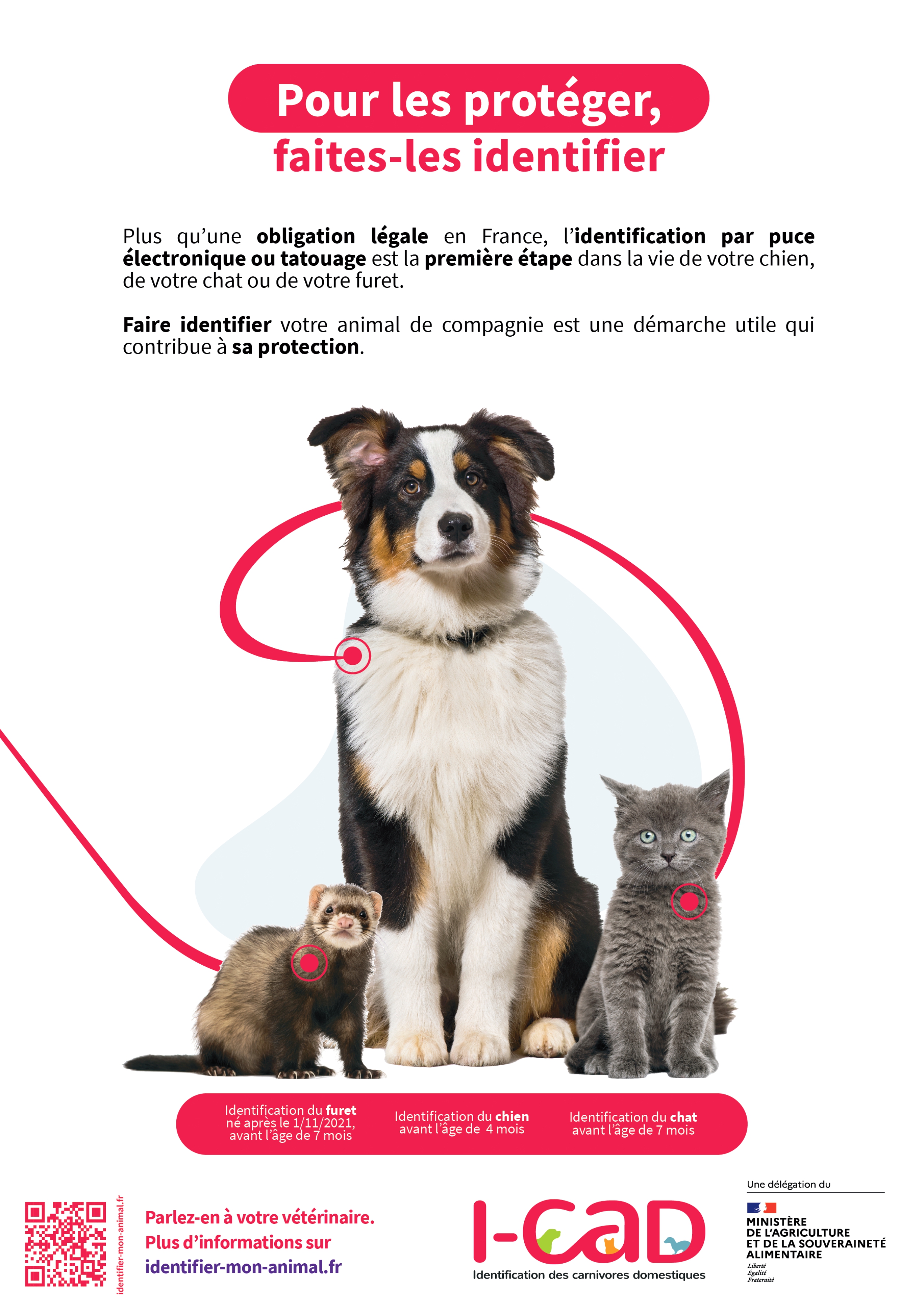 2022.Affiche.Identification.ChienChatFuret_page-0001.jpg