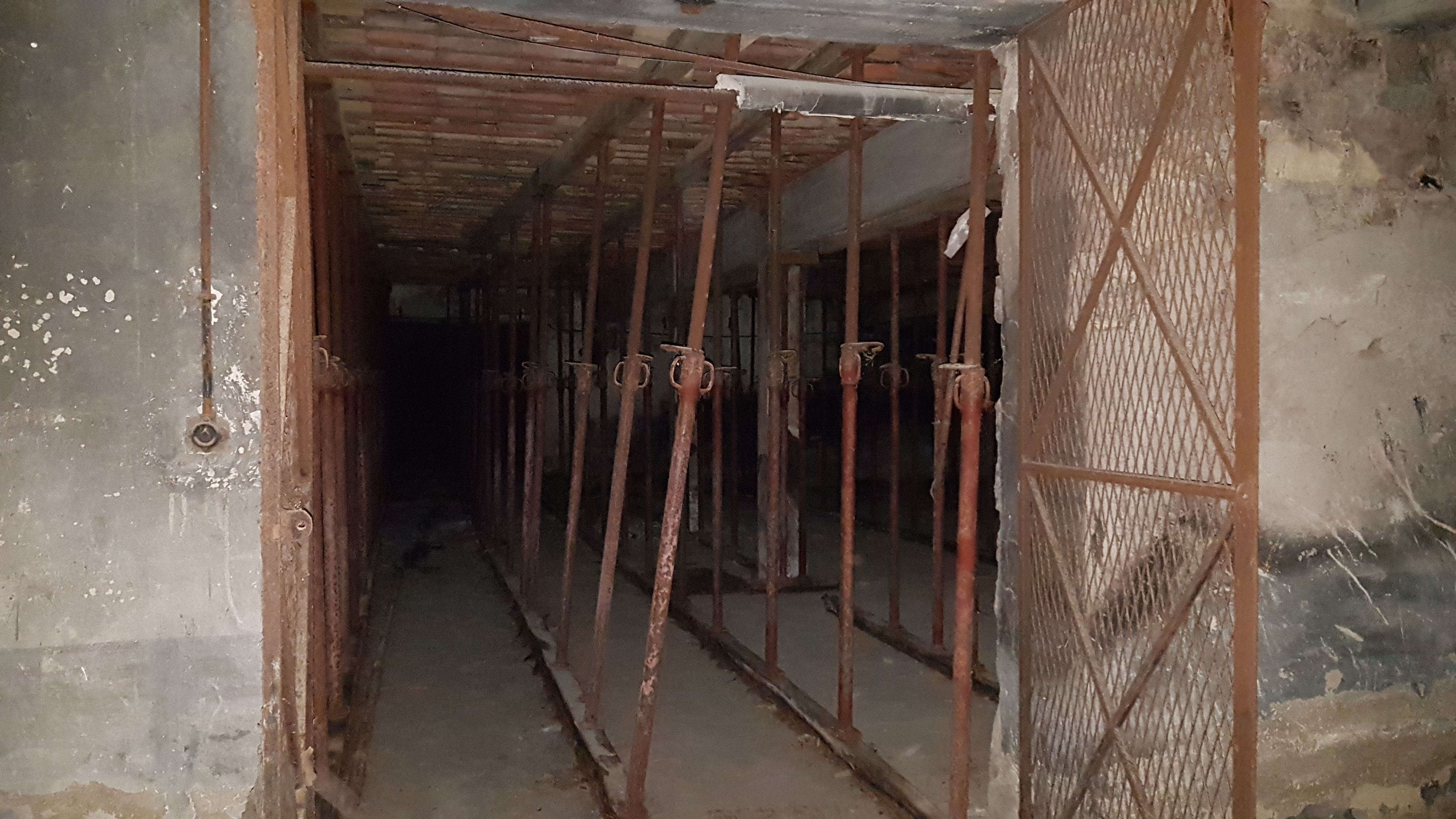 SAB_PHOTOS_SEPT_2022 _121_.jpg