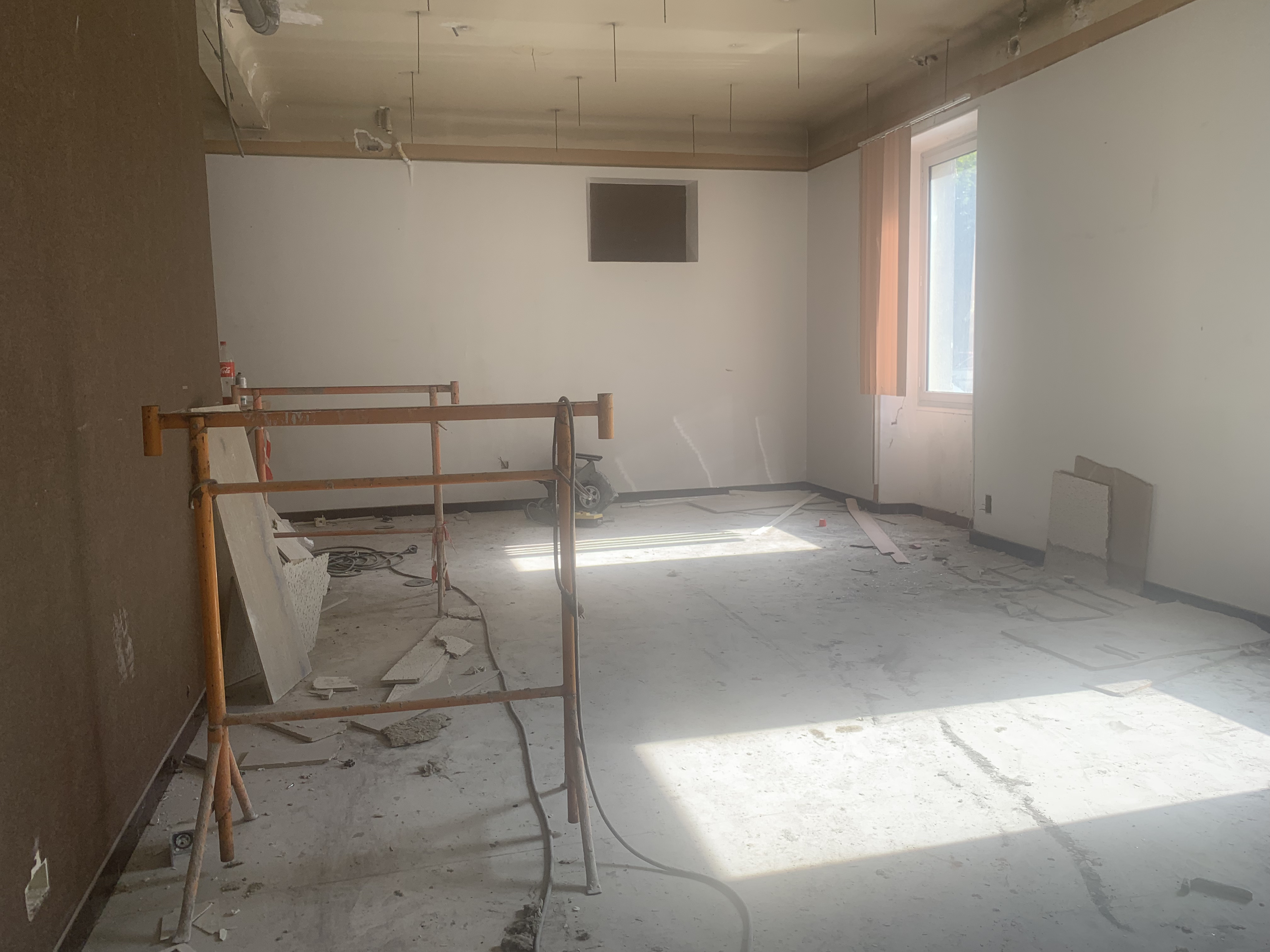 20210901_CASSIN-ECO _5_.jpeg