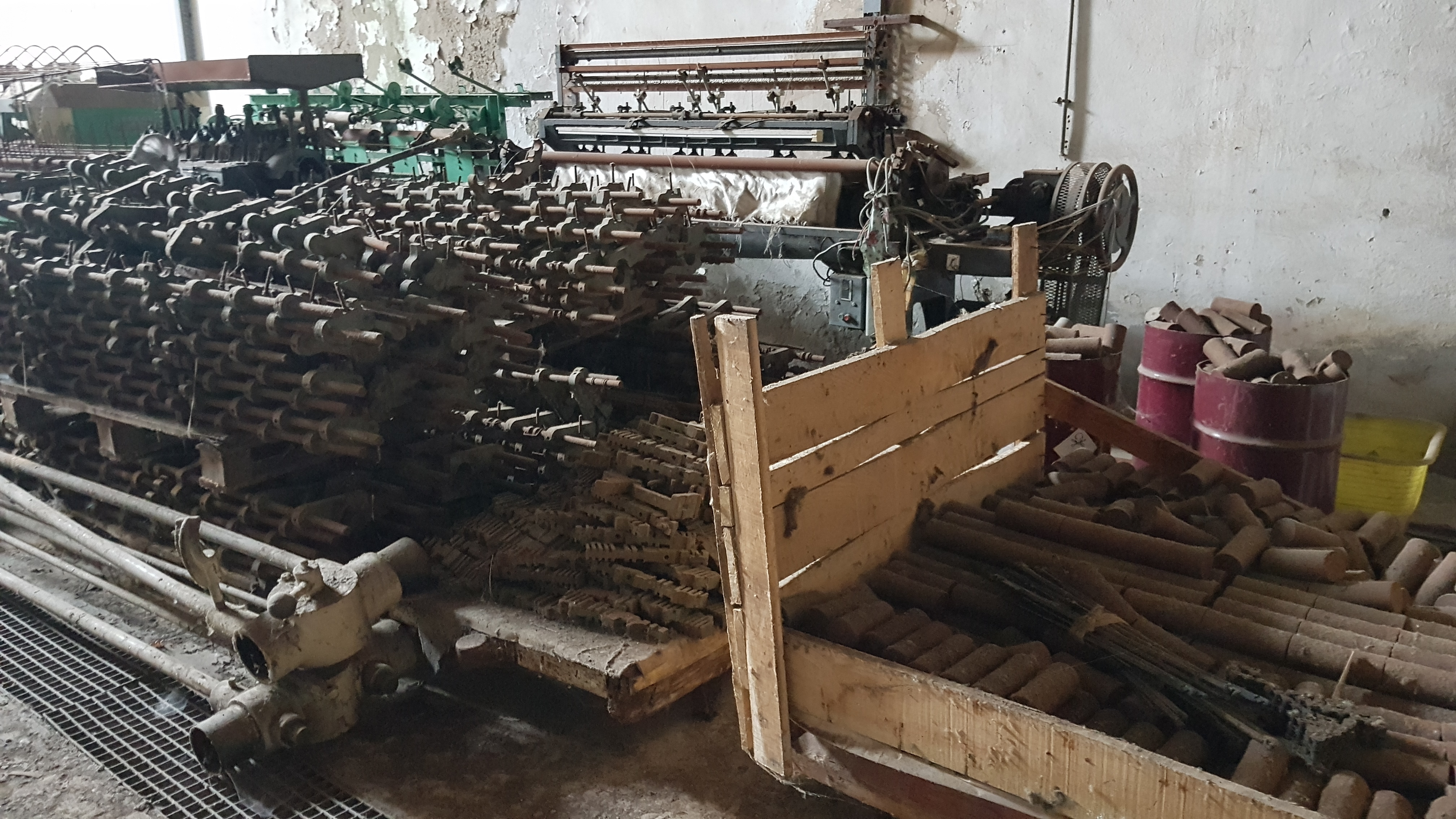 SAB_PHOTOS_SEPT_2022 _31_.jpg