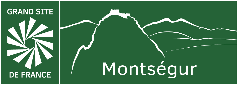 20260128_LOGO_GSF_MONTSEGUR_VERT.png