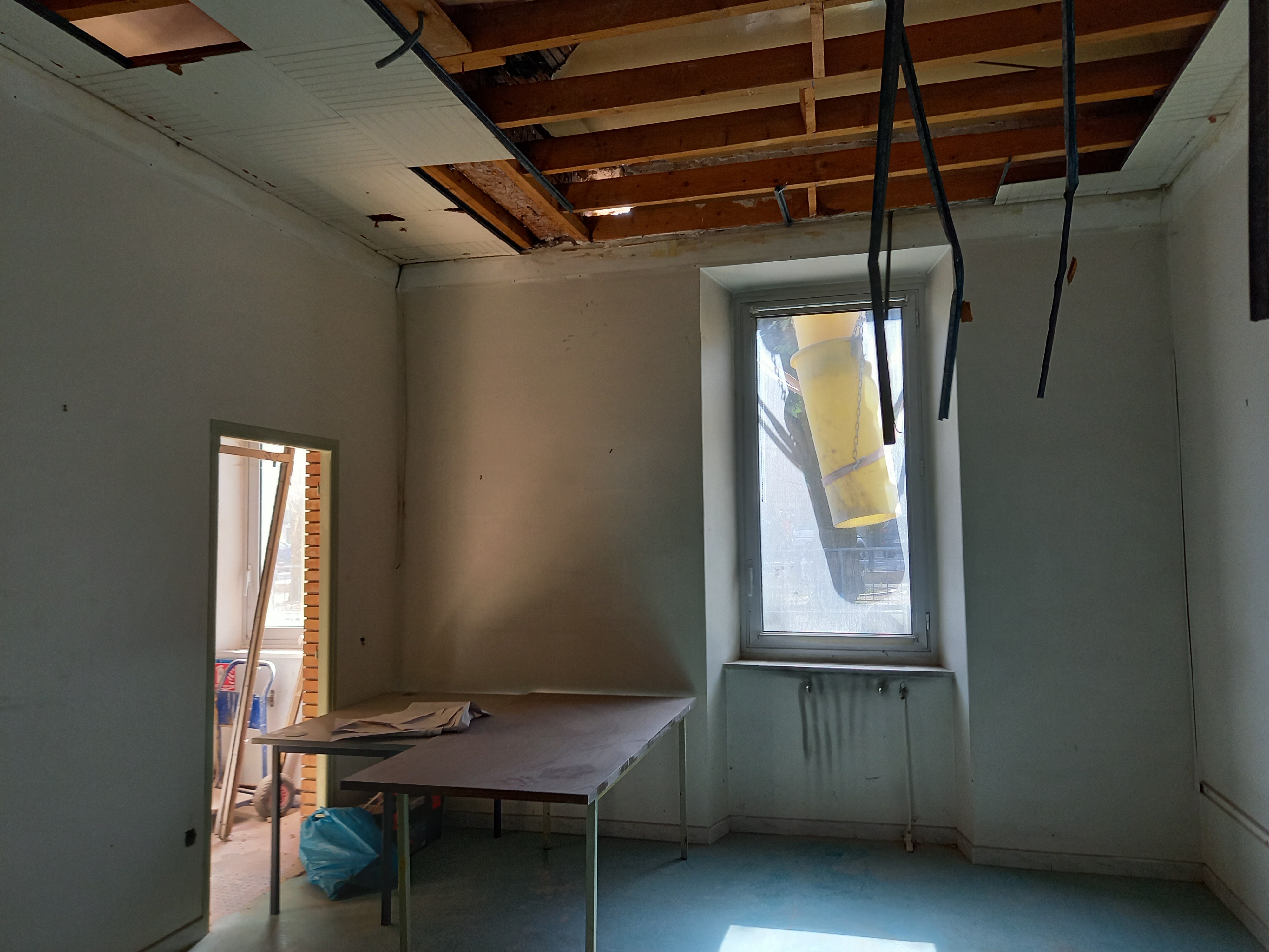 20210901_CASSIN-ECO _7_.jpg