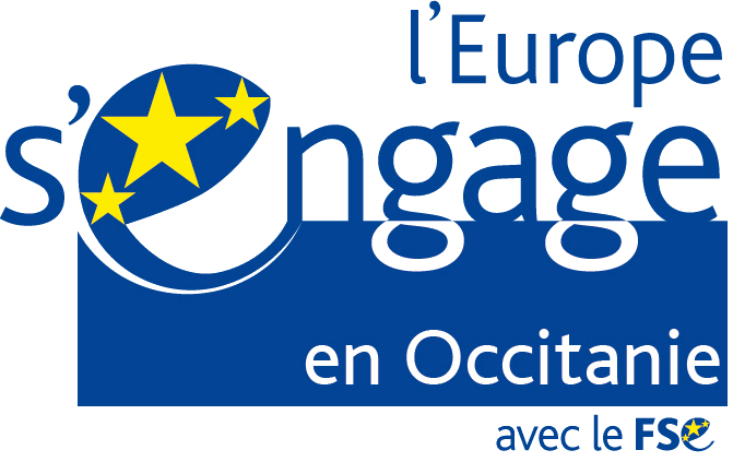 LOGO_EUROPE_FSE.gif