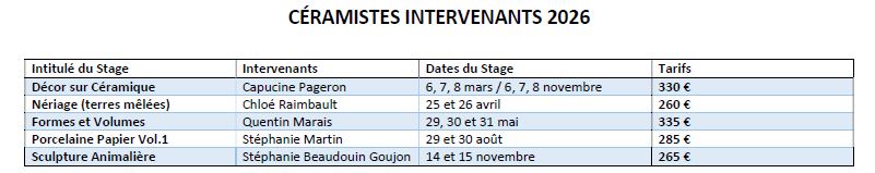 tableau stages intervenants.JPG