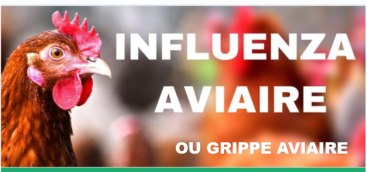 grippe_aviaire_dec_2023_v2.png
