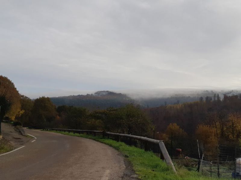 descent garrebourg.jpg