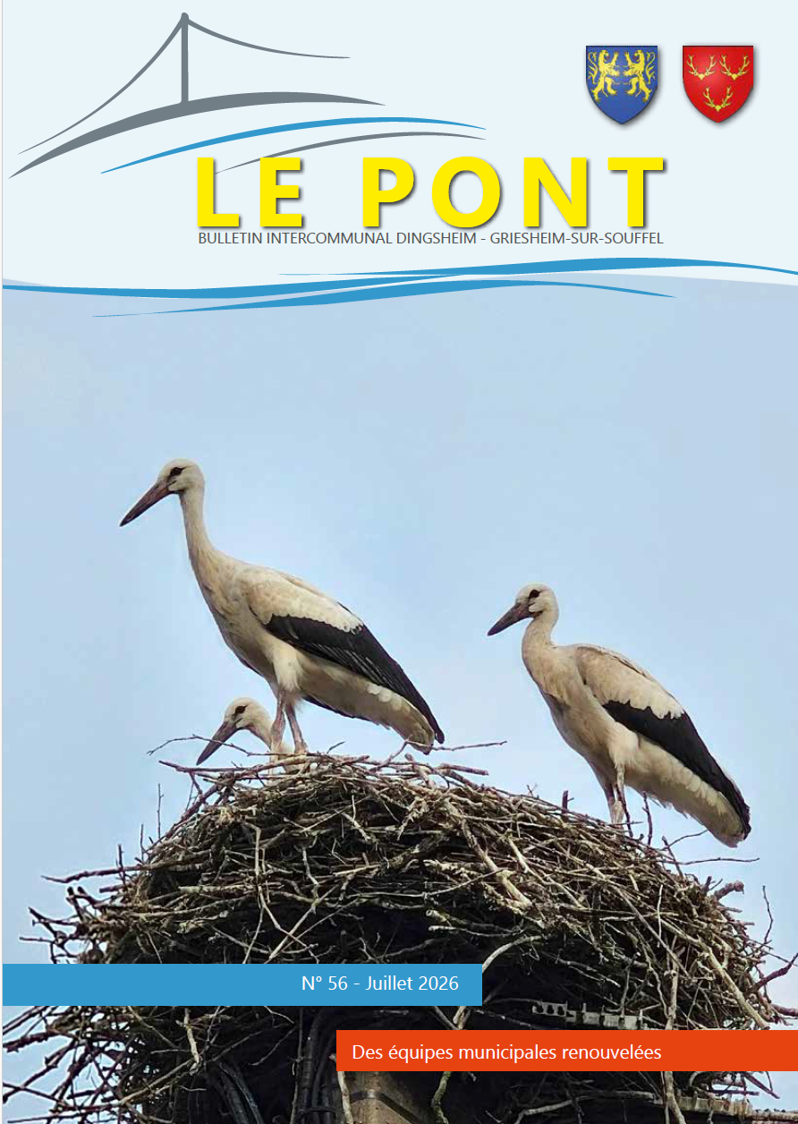 2026 07 Pont.png