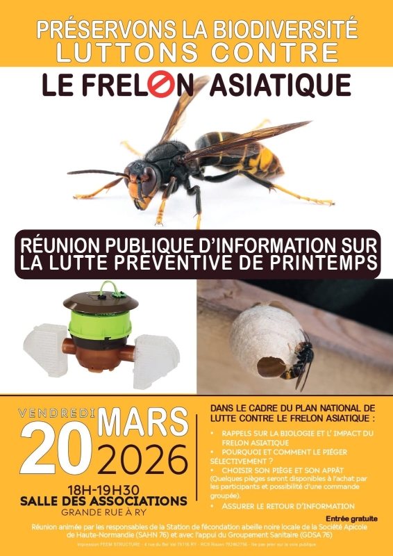2026-03-reunion frelon.jpg