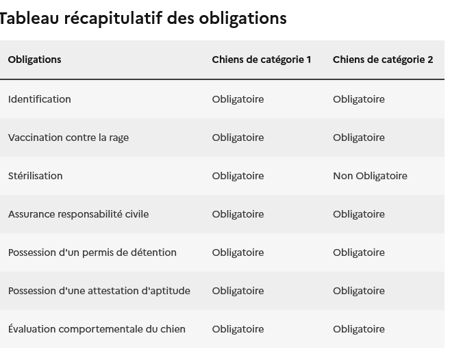 2026-09-image obligation chien 1ère categorie.png