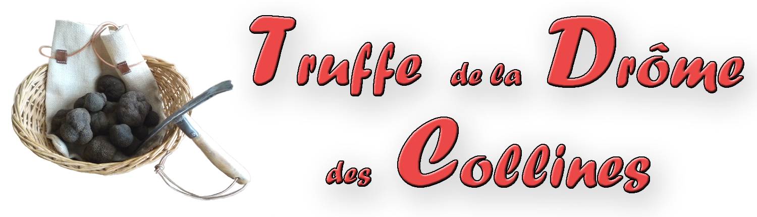 Logo truffe de la drome.png