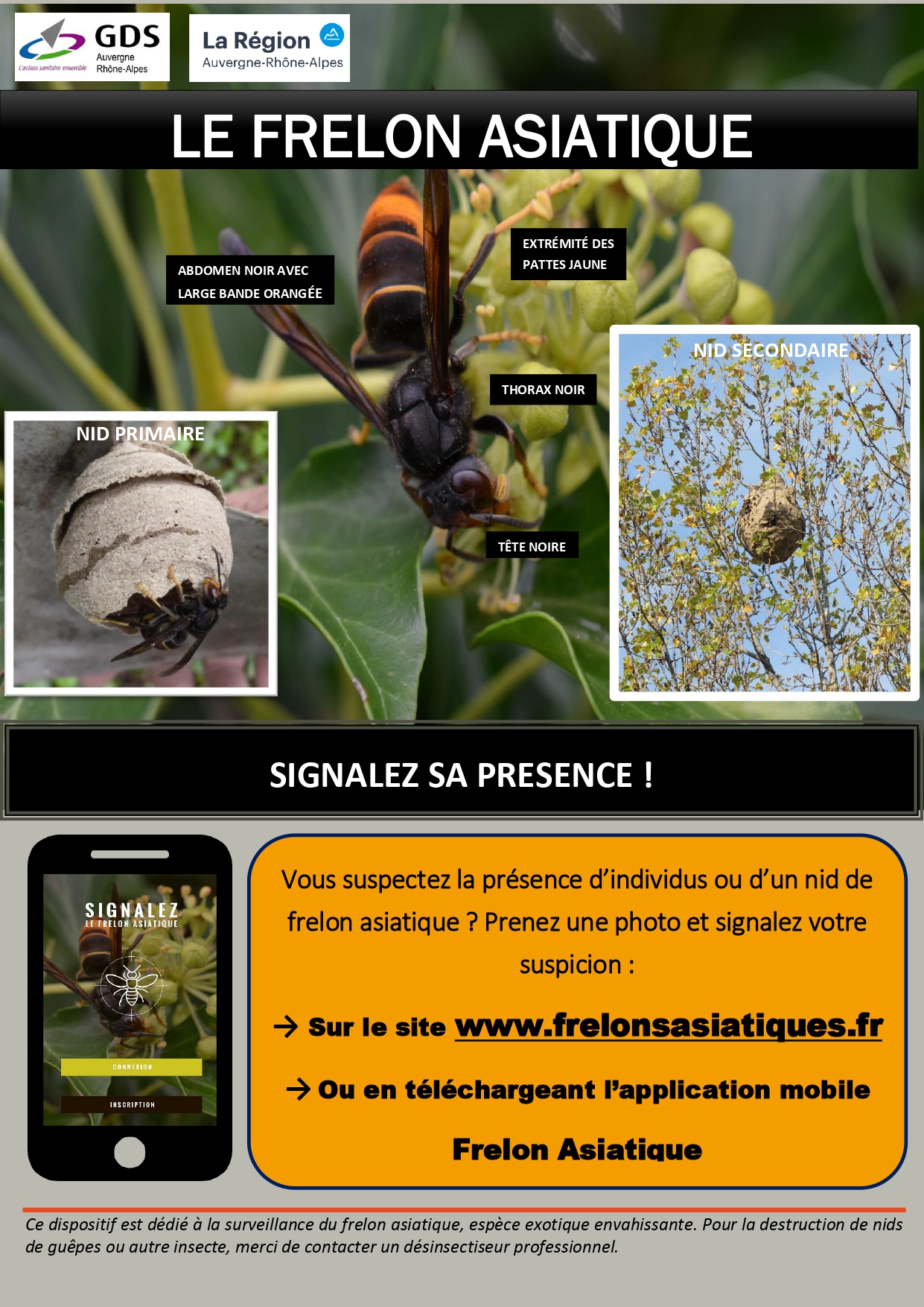 Affiche_régionale_2019_frelon_asiatiqu.jpg