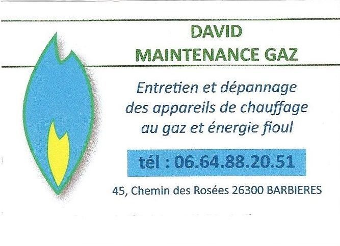 logo david mirabel.jpg