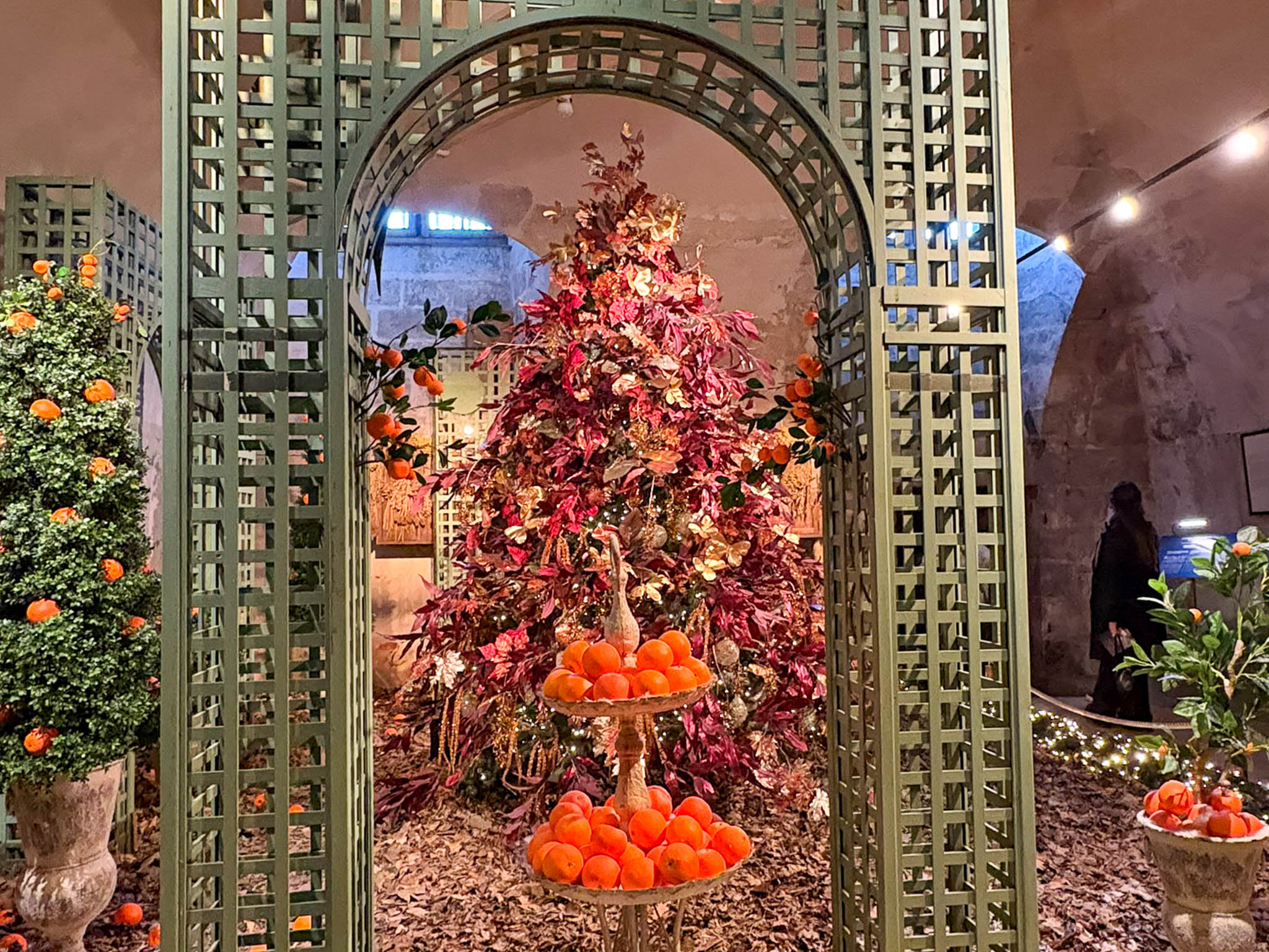 SENIORS VAUXLEVICOMTE-3.jpg