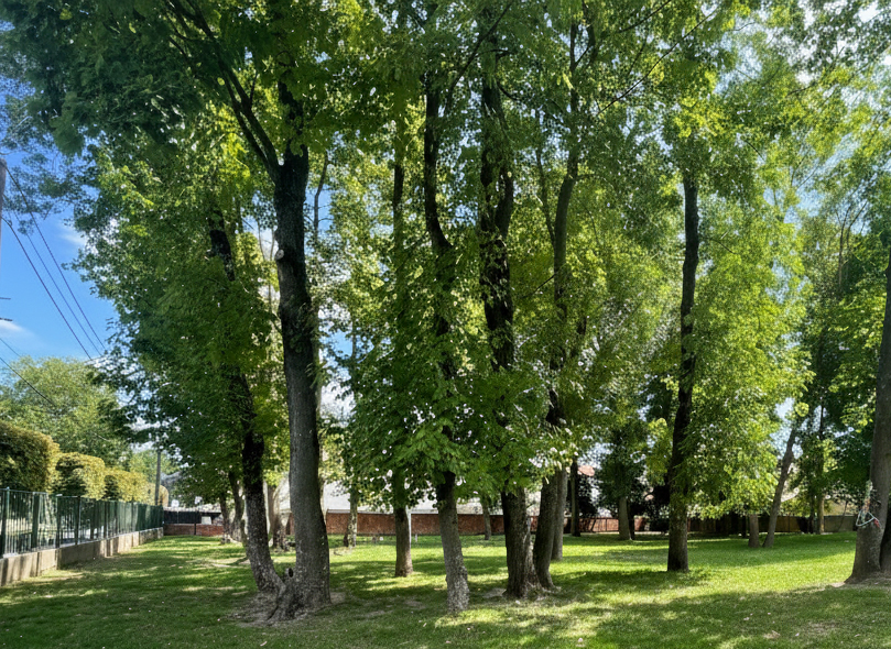 CANIPARC GOURNAY-SUR-MARNE.jpg