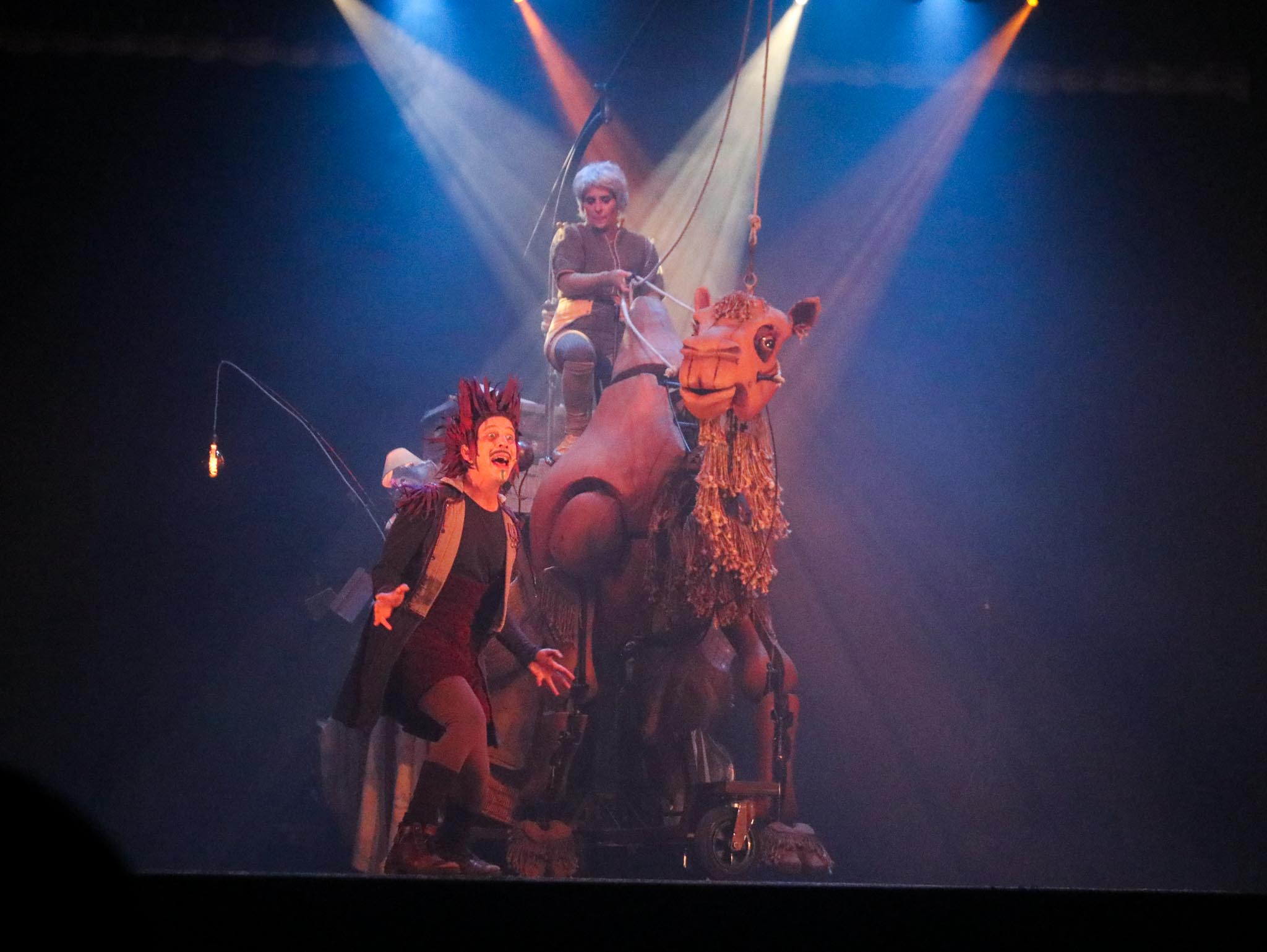 A DOS DE CHAMEAU-13.jpg