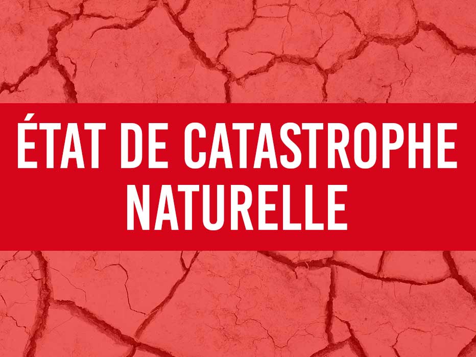 CATASTROPHE NATURELLE.jpg