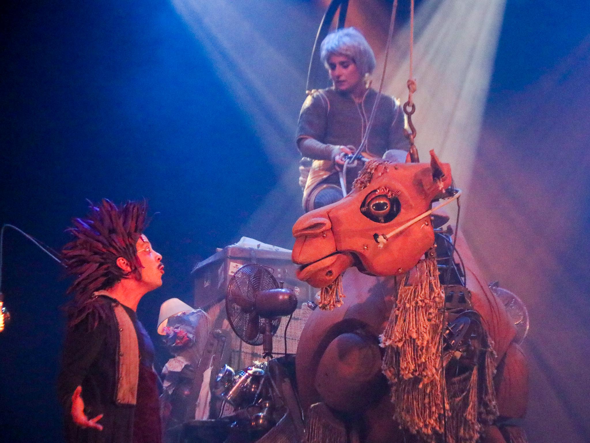 A DOS DE CHAMEAU-12.jpg