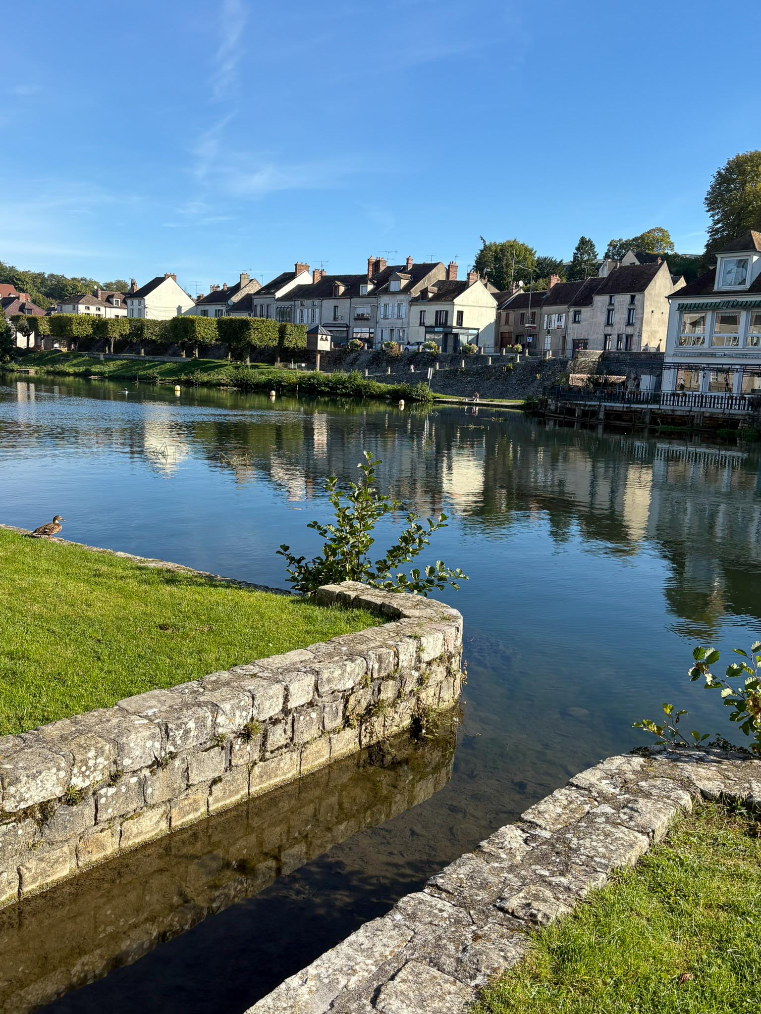 SORTIE SENIORS NEMOUR 2025-7.jpg