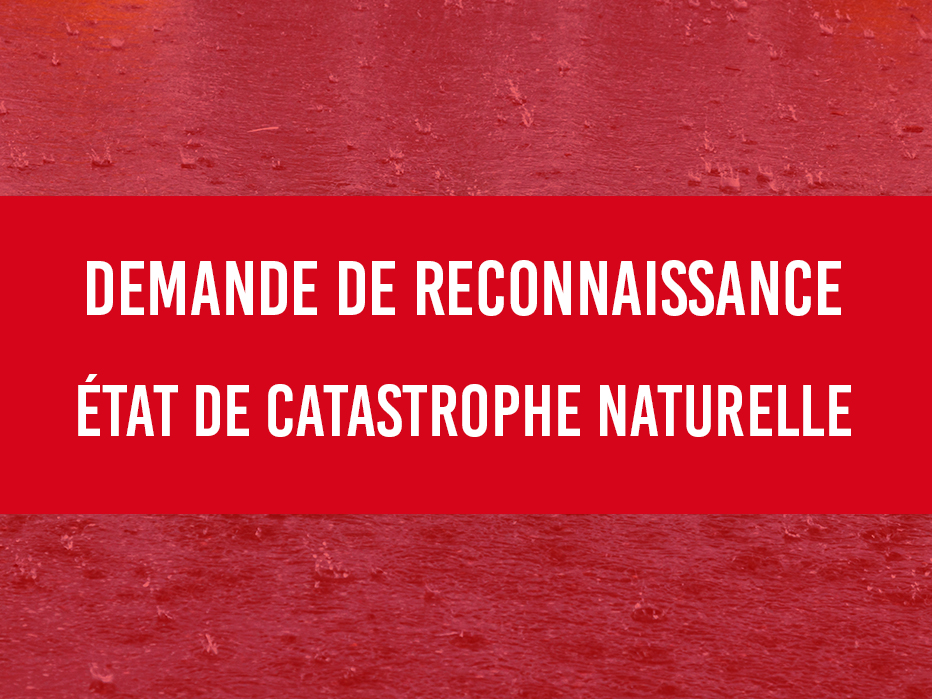 catastrophenaturelleinondation.jpg