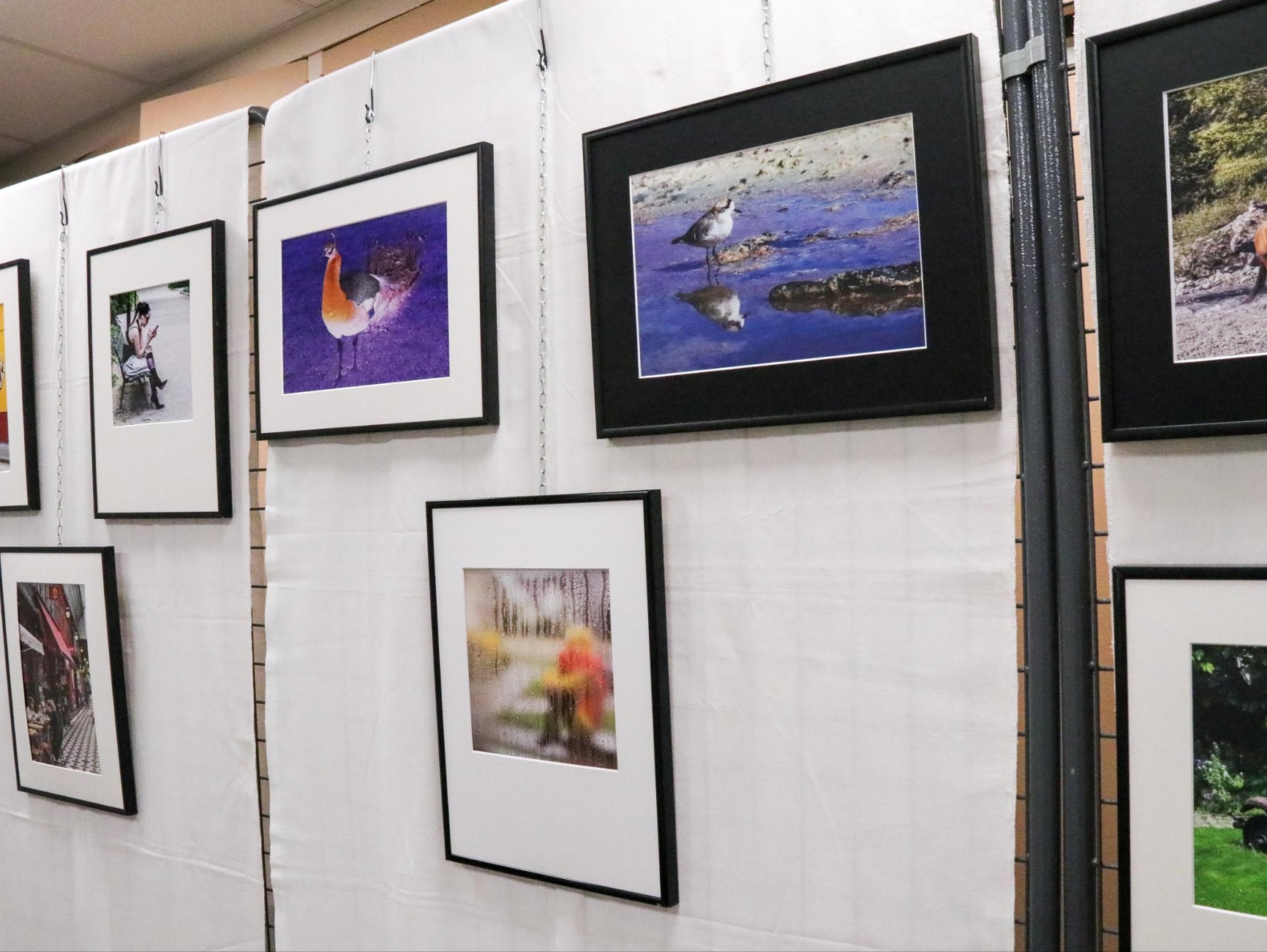 Capture d’écran 2025-06-17 à 10.05.08.jpg