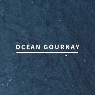 oceangournay.png